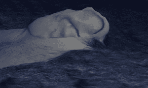 An image of an ear, taken close up, so that it almost becomes abstract
