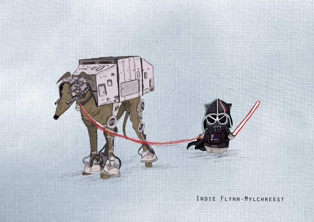 An illustration of a cat, wearing a Darth Vader helmet, with a dog dressed as an AT-AT walker on a leash