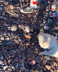 A small white dog and a figure stand on a rocky beach, you can only see the figure's legs and shoes. They both look at a rock with a sad expression and limpets for eyes.