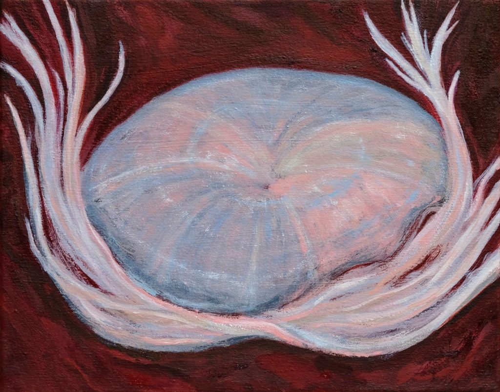 Oil painting of a jellyfish, with a translucent body on a deep red background