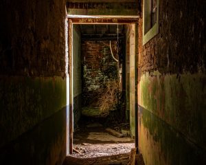Dark corridor, bricked up at the end and the walls also brick and crumbling plaster. It is dramatically lit from the right, revealing tangled branches protruding through the brickwork.