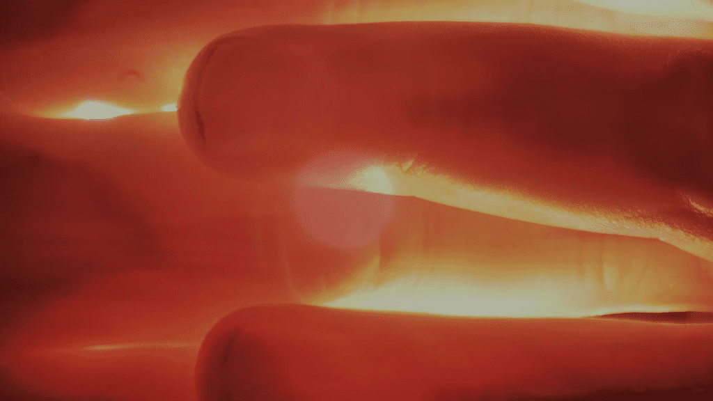 A close up of four of the artists' fingers, short dirty nails and all, as bright light from behind them passes through skin, bone and blood rendering them as orange as a sunset.