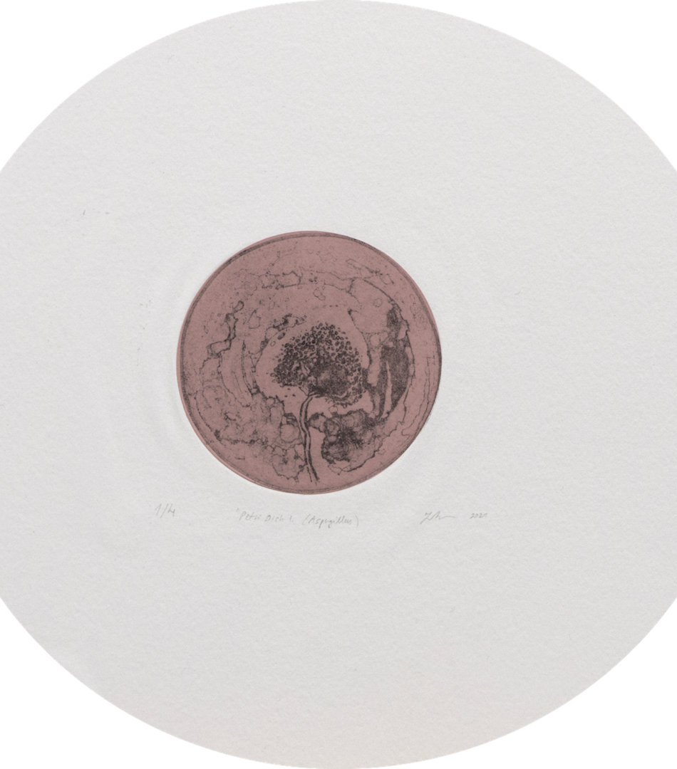 A muted pink circle on circular white paper. Inside the pink circle there are abstract lines, as if looking at a petri dish through a microscope.