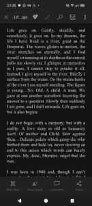 Some lines from Life Goes On, my WIP novel.