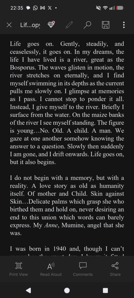 Some lines from Life Goes On, my WIP novel.