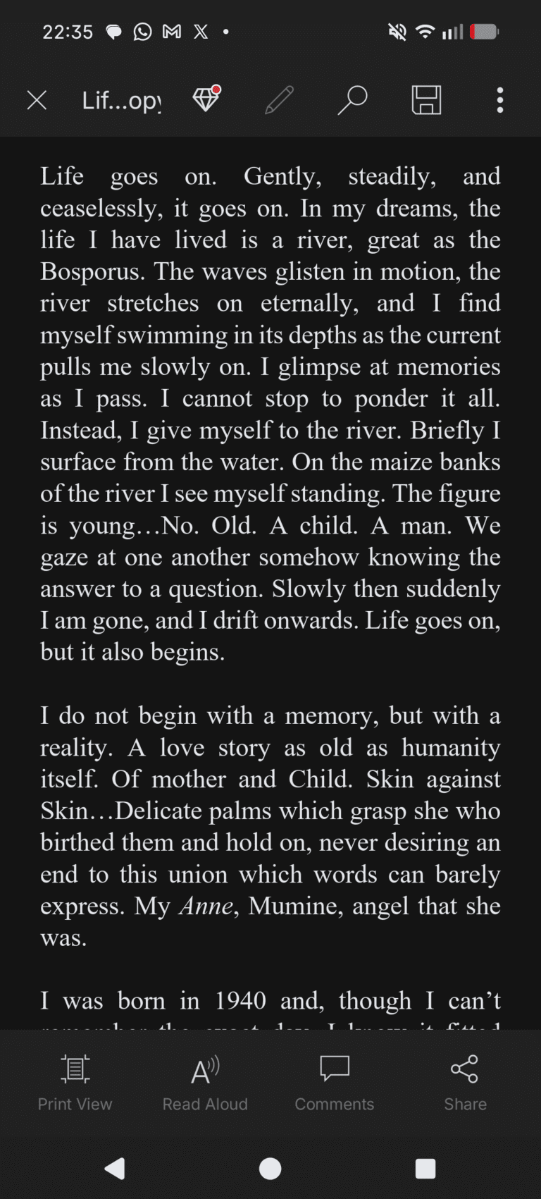 Some lines from Life Goes On, my WIP novel.