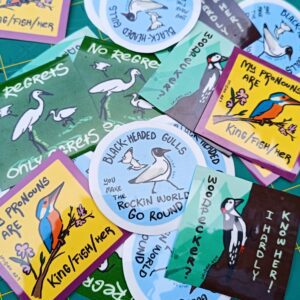 colourful stickers with bird puns, including: 1. a kingfisher on a branch over yellow background. caption reads "my pronouns are king/fish/her" 2. white egrets over green background. caption reads "no regrets, only egrets" 3. a woodpecker in the forest. caption reads "woodpecker? i hardly know her" 4. black-headed gulls on blue background. caption reads "black-headed gulls, you make the rockin' world go round"