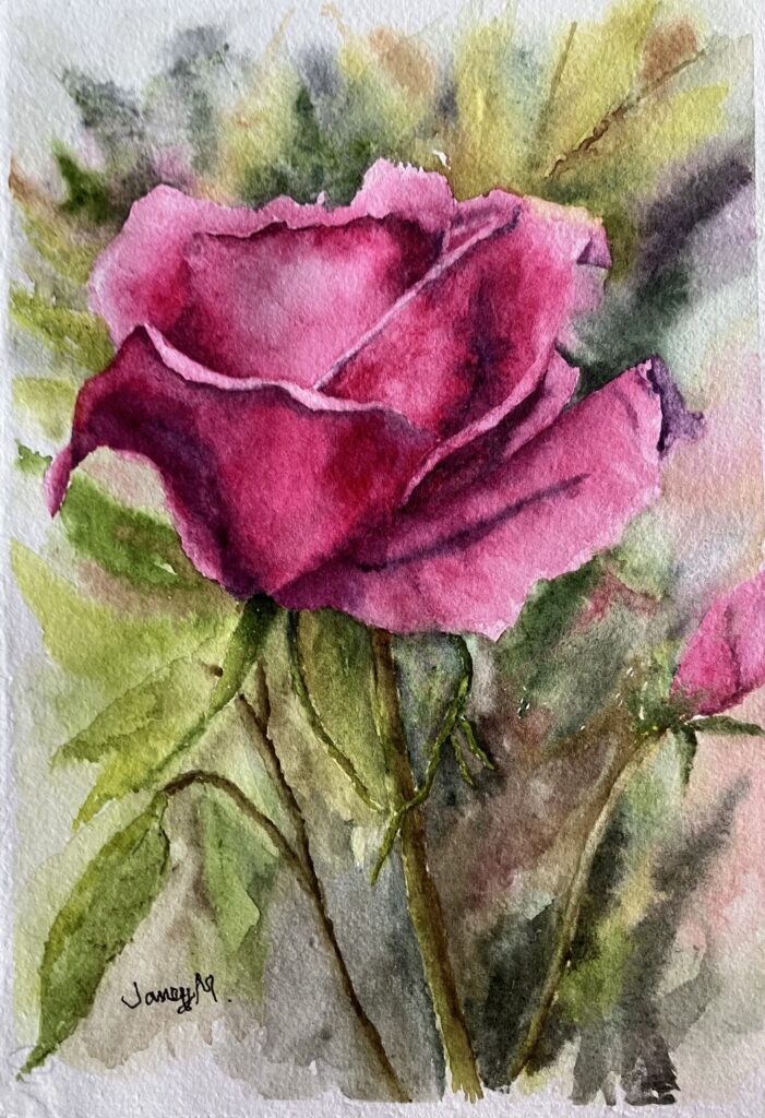 Watercolour painting of a dahlia.